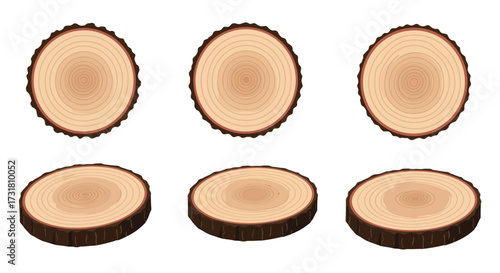 Six wooden slices with visible tree rings displayed in a simple arrangement