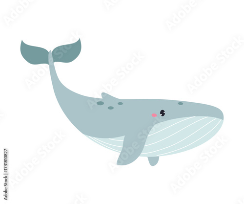 Northern Whale Animal and Zoo Creature from Cold North Vector Illustration
