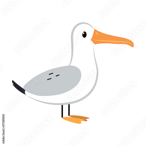 Northern Seagull Bird and Zoo Creature from Cold North Vector Illustration