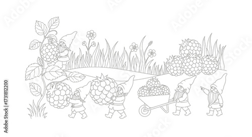 Gnomes Harvesting Giant Berries in a Magical Field Adult Fantasy Coloring Art