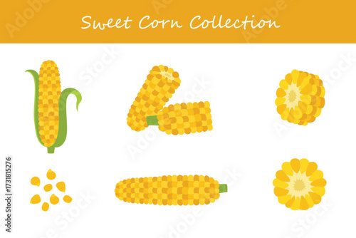 sweet corn collection in different style. Vector illustration.