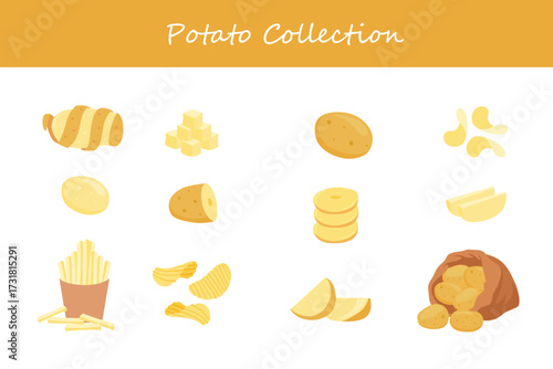potato collection in different style. Vector illustration.