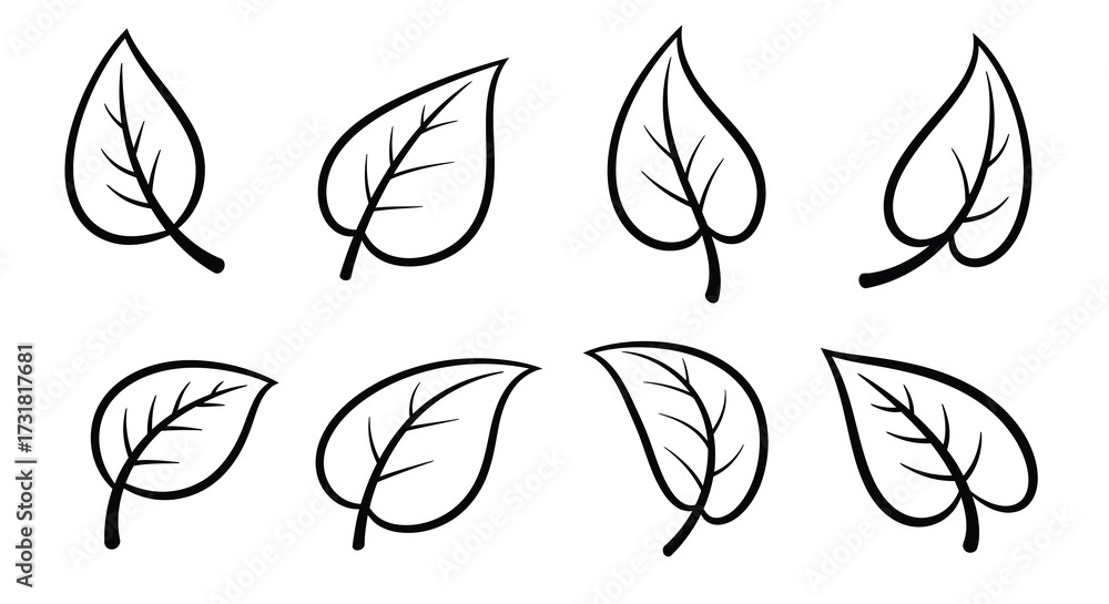 Fototapeta premium Simple black and white illustration of various leaf shapes and designs
