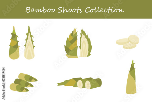bamboo shoots collection in different style. Vector illustration.