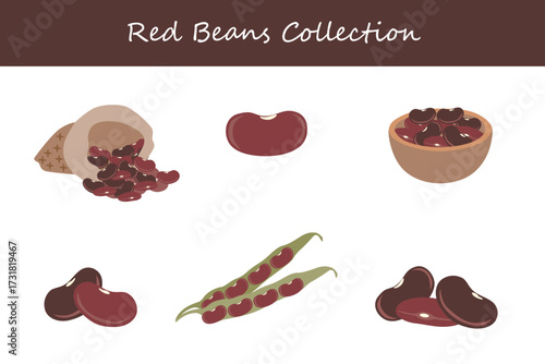 red beans collection in different style. Vector illustration.