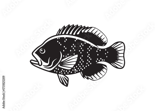 Freshwater bass fish vector silhouette, black aquatic animal design.