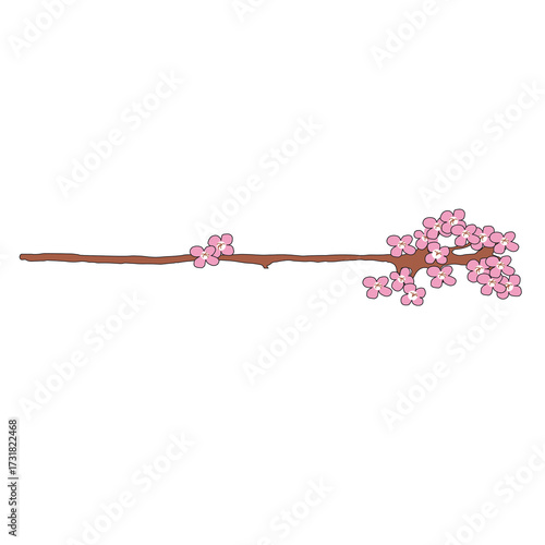 Mandelblüte