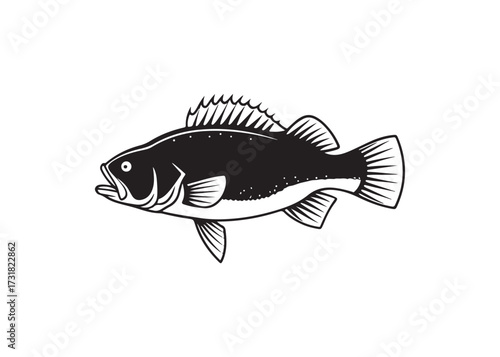 Black silhouette of crappie fish, freshwater species vector art design.