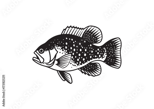 Freshwater bass fish vector silhouette, black aquatic animal design.