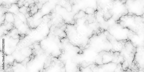 Vector black pattern white paper white marble background.