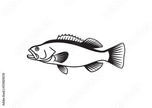 Black silhouette of crappie fish, freshwater species vector art design.