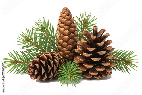 Vector art of pine cones and fir branches, perfect for christmas and winter holiday decorations, adding a natural touch to any design