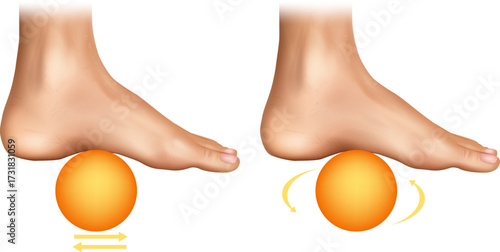 Realistic medical illustration showing foot massage exercises with a ball. The image demonstrates two techniques for plantar fasciitis relief and arch stretching
