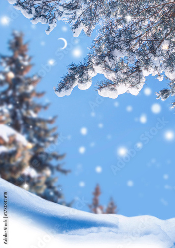 Merry christmas and happy new year. Winter snow scene forest background. Christmas card.