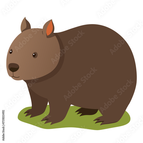 Brown wombat with small round ears standing on green grass.