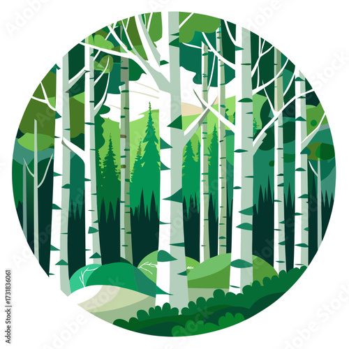 Vector illustration of a dense forest of birch trees with green foliage in a circular frame, on a