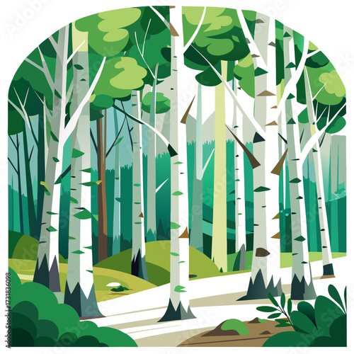 Vector illustration of stylized illustration of a birch forest with a path winding through the trees, featuring green foliage and white tree trunks in a flat design style