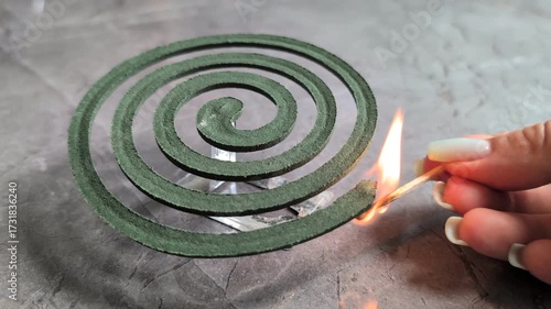 Lighting a Mosquito Coil using a simple Matchstick for an aromatic backyard experience