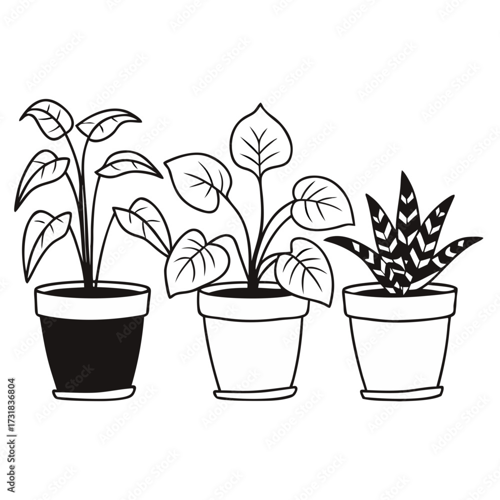 Obraz premium flower in pot