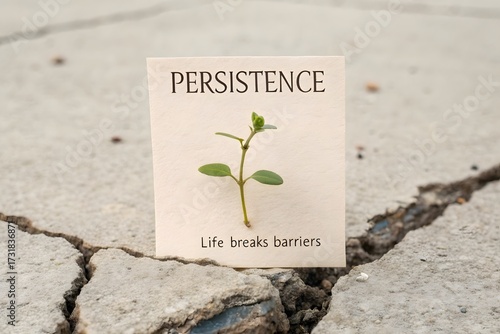 A small green seedling emerging on a concrete surface