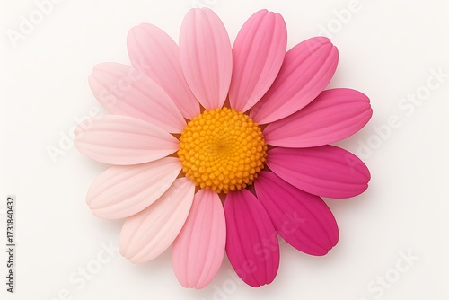 Bright flower with pink gradient petals and yellow center, realistic 3D botanical illustration