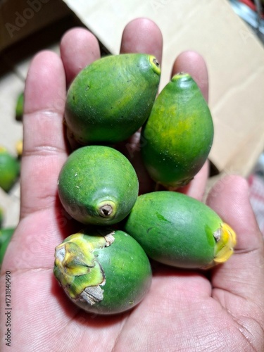 Some young and fresh areca nuts