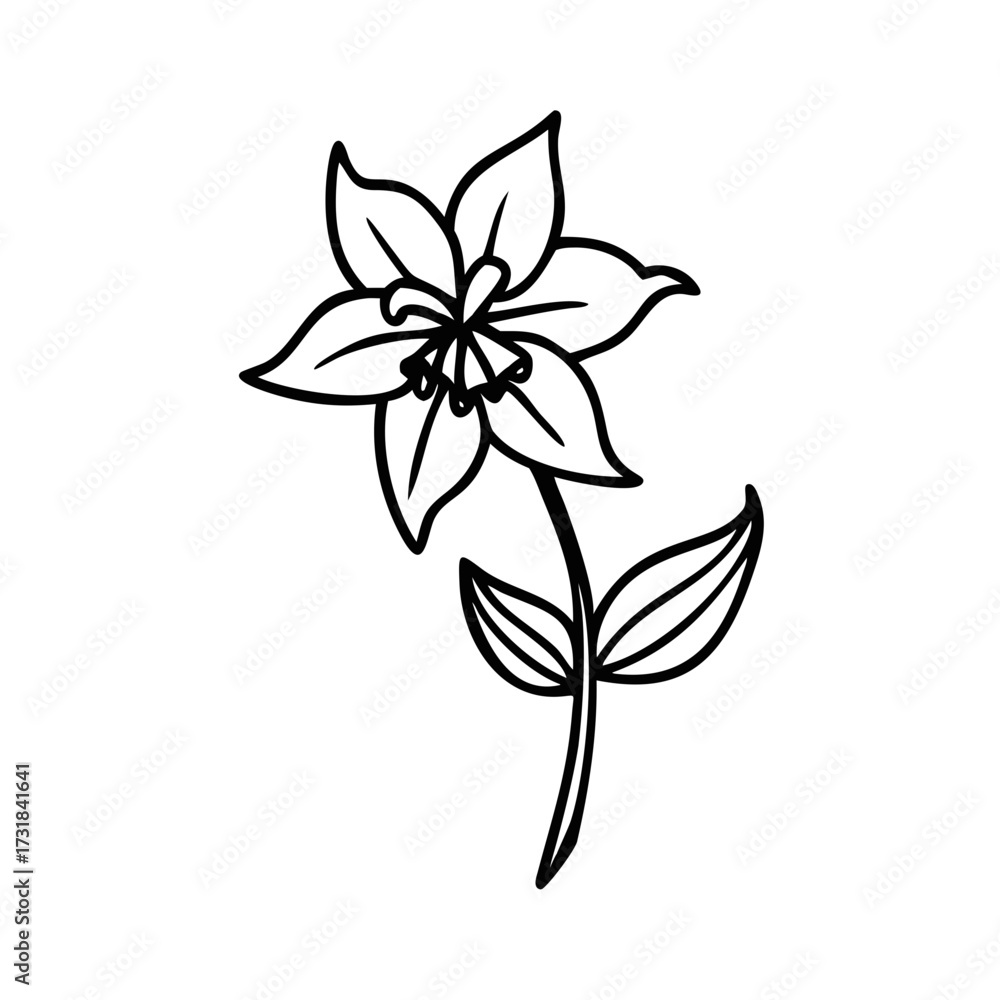 Obraz premium wildflower line art style vector illustration