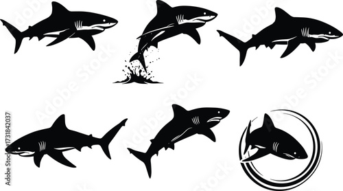 Shark silhouette vector set, dangerous ocean predator illustration, marine wildlife design, underwater sea creature art, aquatic animal graphic, shark attack concept