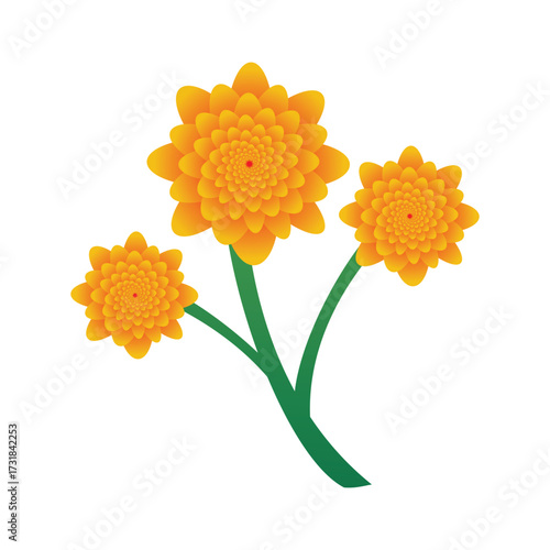 Beautiful vector illustration of yellow marigold flowers with green stems on white background. Perfect for floral designs, botanical themes, greeting cards, invitations, and decorative artwork.