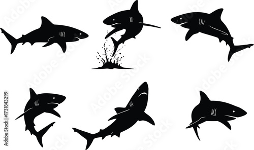 Shark silhouette collection, dangerous ocean predator illustration, marine wildlife vector, underwater sea creature art, aquatic animal design, nature graphic, shark attack concept