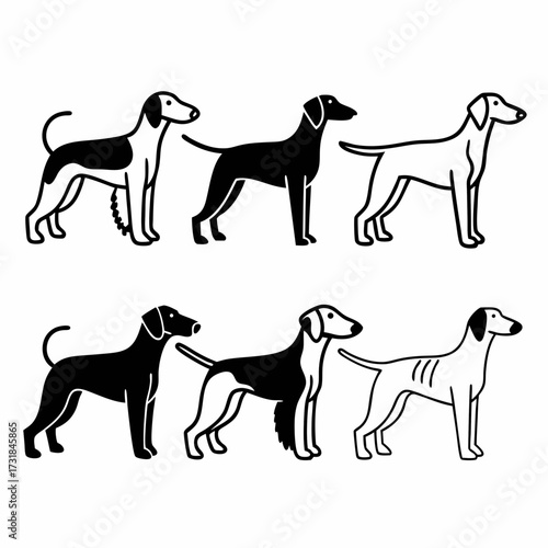 Six stylized saluki dogs, creating a symmetrical arrangement