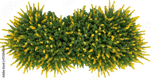 Abstract botanical illustration in green and yellow colors