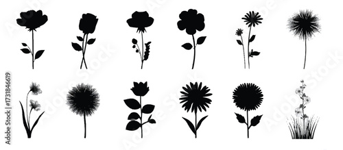 Elegant floral silhouettes black and white graphic resources for design and branding projects and minimalist illustrations