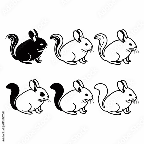 Illustration of six chinchillas in various poses vector art