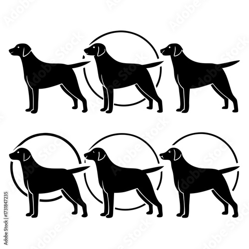Six black labrador retriever dogs in a circle vector illustration