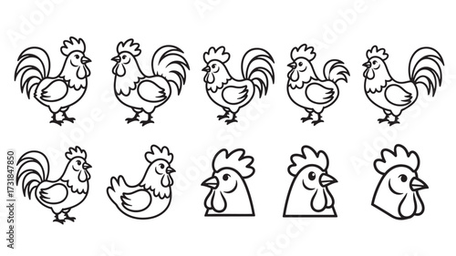 Set of rooster line icons simple flat vector illustration of farm animals isolated on white background