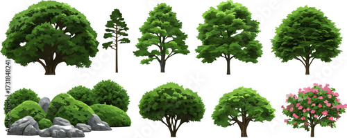 Collection of trees and shrubs with green and pink foliage