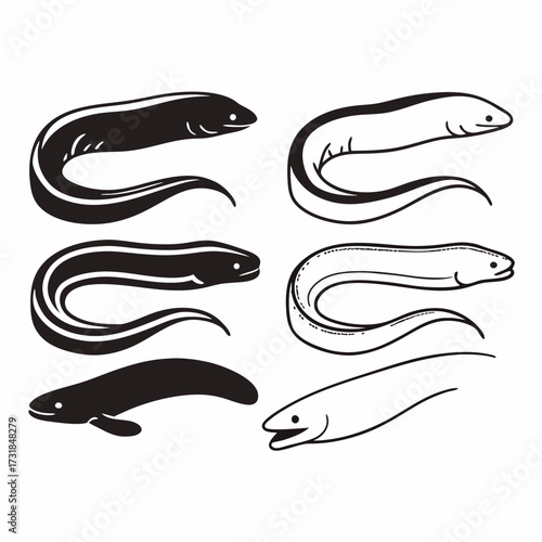 Set of six eel illustrations in different styles, depicting aquatic animal