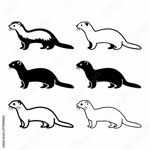 Set of simple ferret illustrations, in various styles and colors