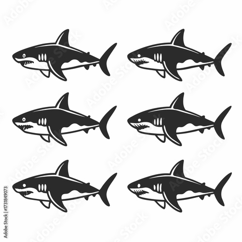 Six great white sharks swimming, marine predator in the ocean depths