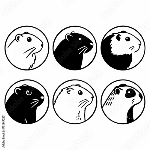 Illustration of six cute hamsters in black and white animal concept