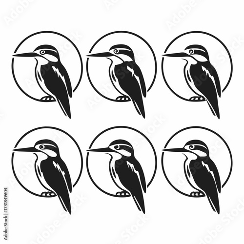 Collection of woodpecker illustrations in circle vector illustration