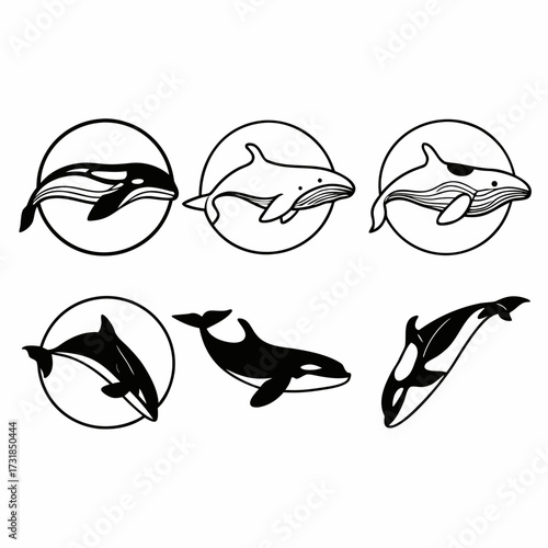 Collection of orca whale vector illustrations killer whale icon set