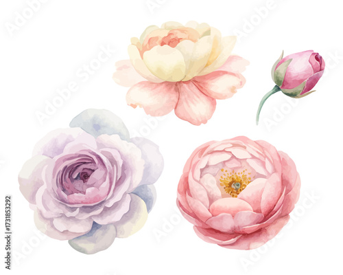 Fotografie watercolor peony and ranunculus floral set