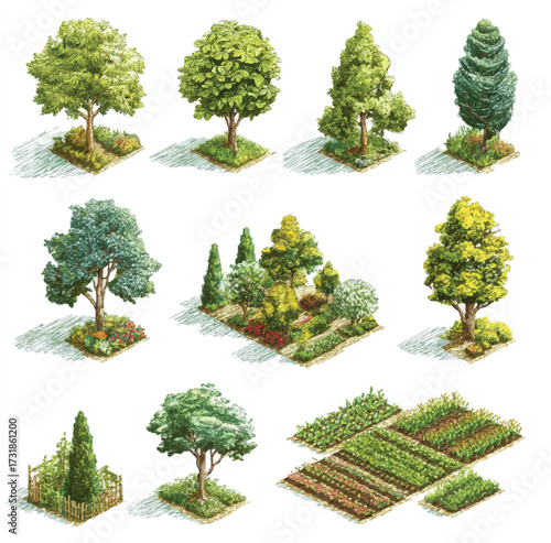 Isometric garden design elements with trees shrubs and garden patches for landscaping and architectural visualization