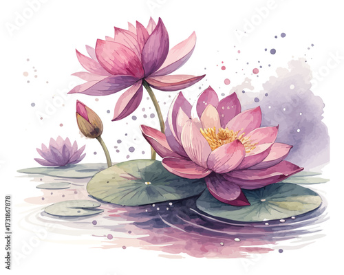 watercolor lotus flowers floating vector illustration 