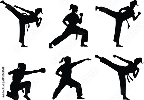Dynamic silhouette of diverse martial arts fighters performing kicks and strikes