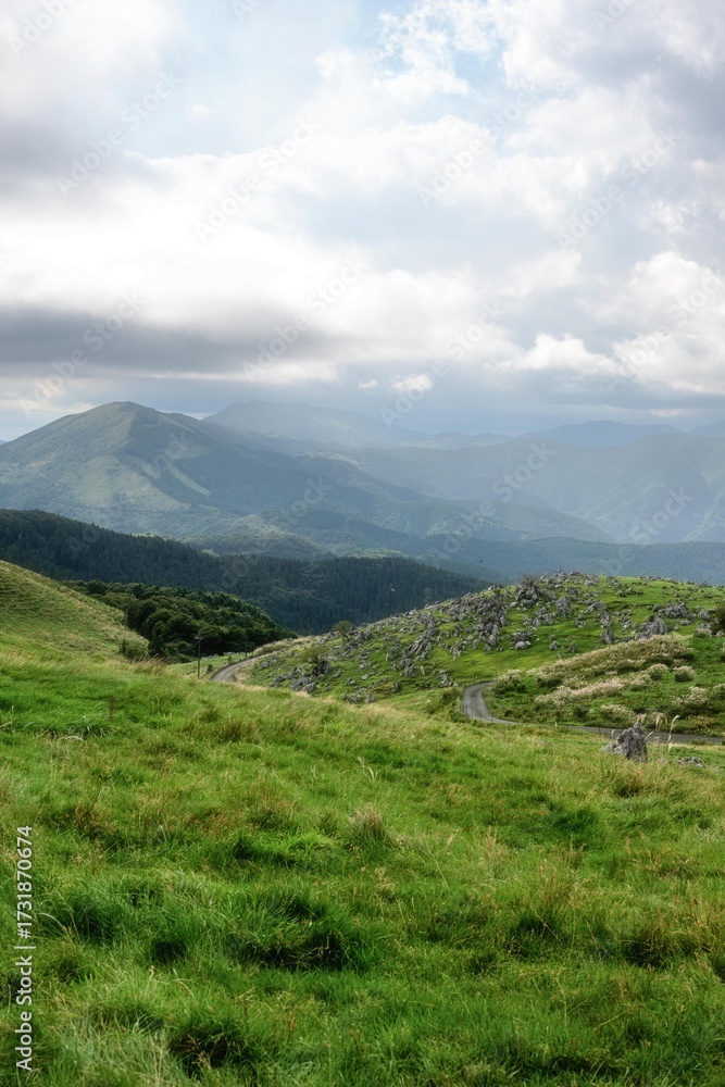 Fototapeta premium 愛媛県久万高原 曇天の四国カルスト