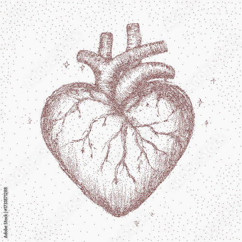 Heart illustration. Grainy silhouette with scattered specks, vintage ink texture, and threshold shadows. Dust particles and subtle paper scratch marks.