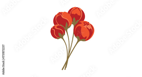 A delicate bouquet of unopened red rose buds tied with a thin string.